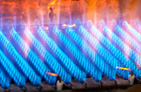 Bleadney gas fired boilers